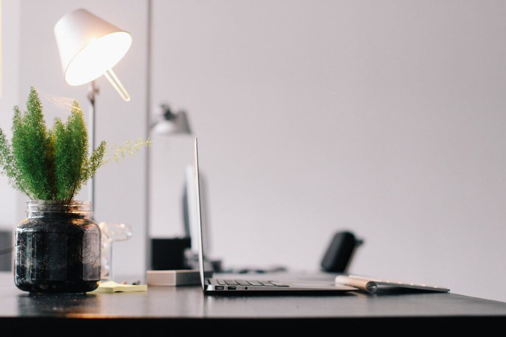 organized office desk plant
