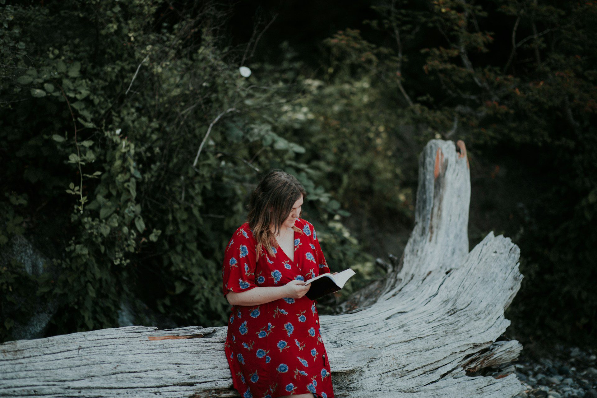 priscilla-du-preez-BxF9C89CkyY-unsplash