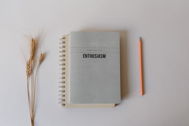 minimal wellness flat lay journal water plant