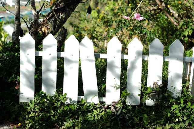 white picket fence garden sunshine